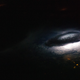 Illustration for article titled Is Lightning Producing These Mysterious Gamma Ray Bursts?